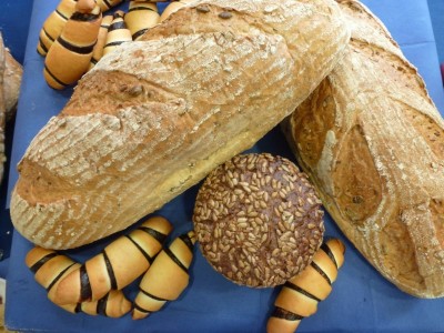 New managing director of Gostol - Gopan d.o.o. Nova Gorica