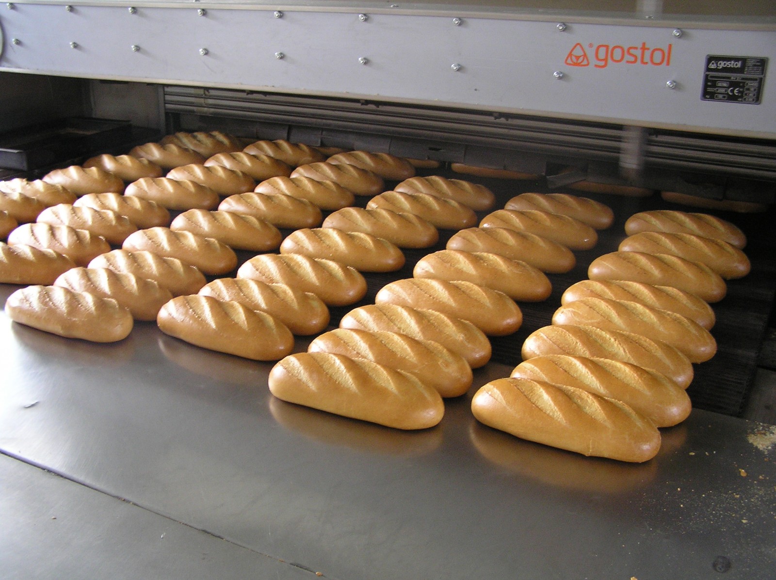 Line for free baked long loaves