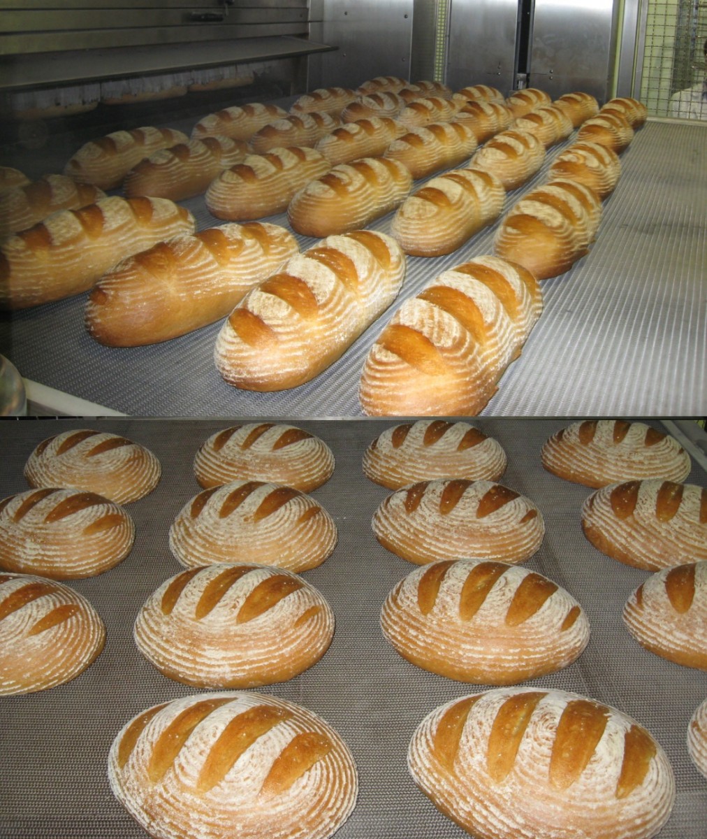 Combined line for free baked long loaves and round bread